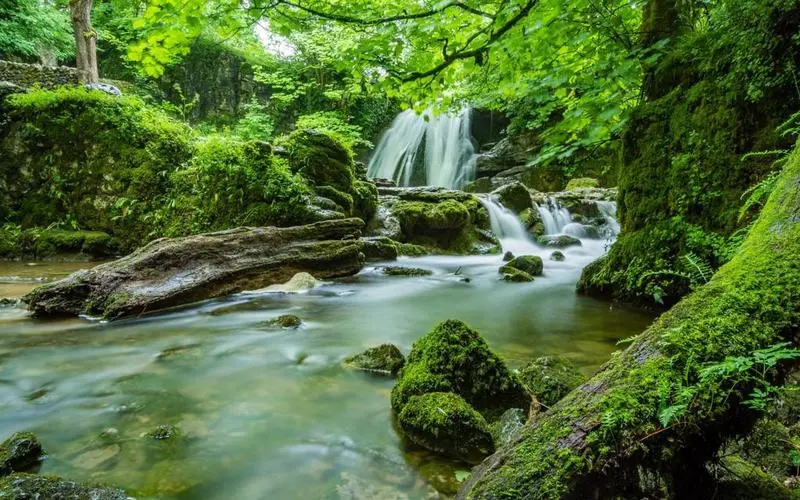 高效高效高质量